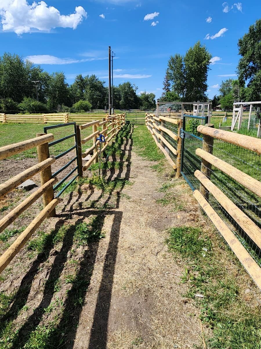 Privacy Fencing